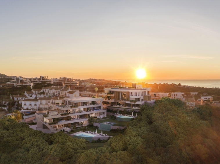 Aerial view of the coastal residential setting in Cabopino