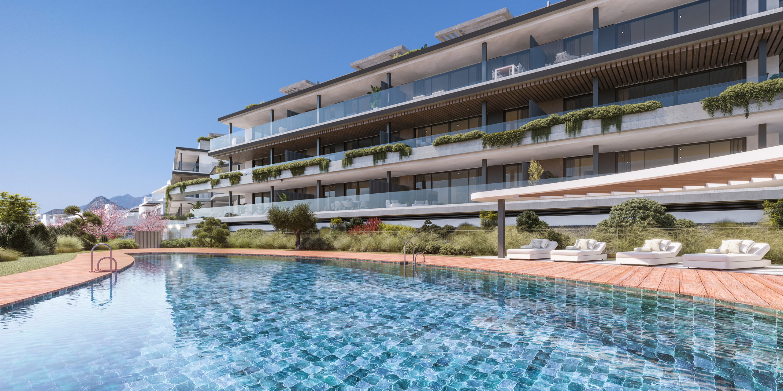 Architectural illustration of the communal swimming pool