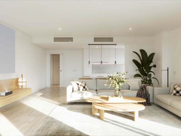 Illustrative open living room and kitchen