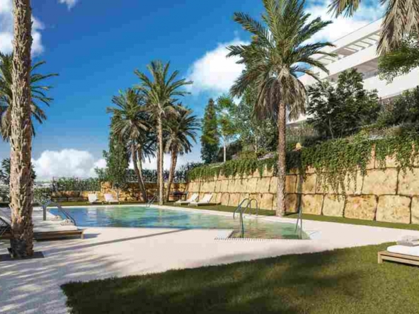 Illustrative shared swimming pool and landscaped grounds