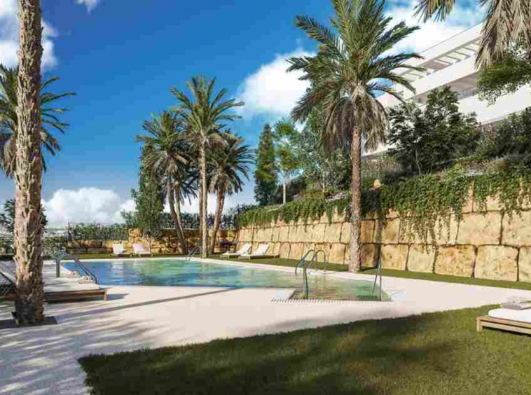 Illustrative shared swimming pool and landscaped grounds