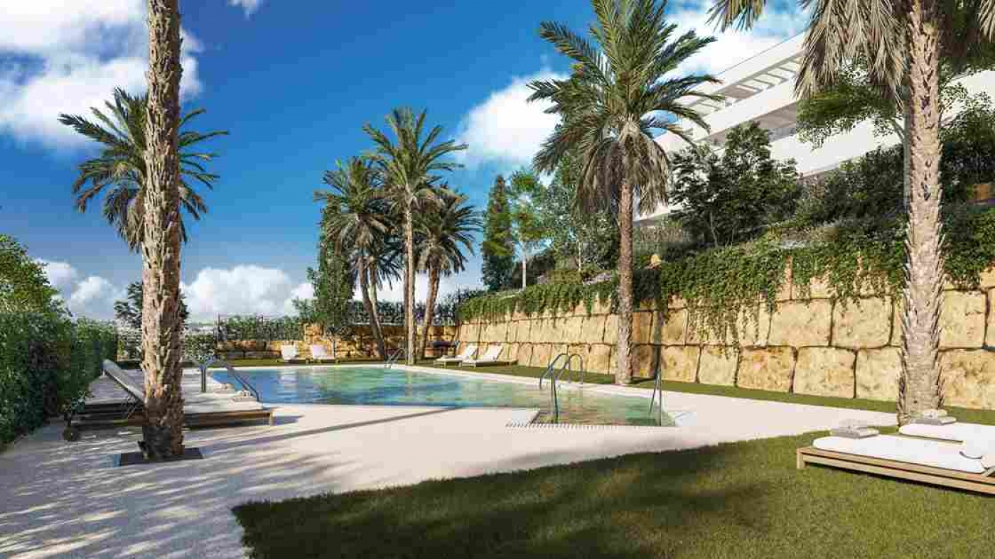 Illustrative shared swimming pool and landscaped grounds