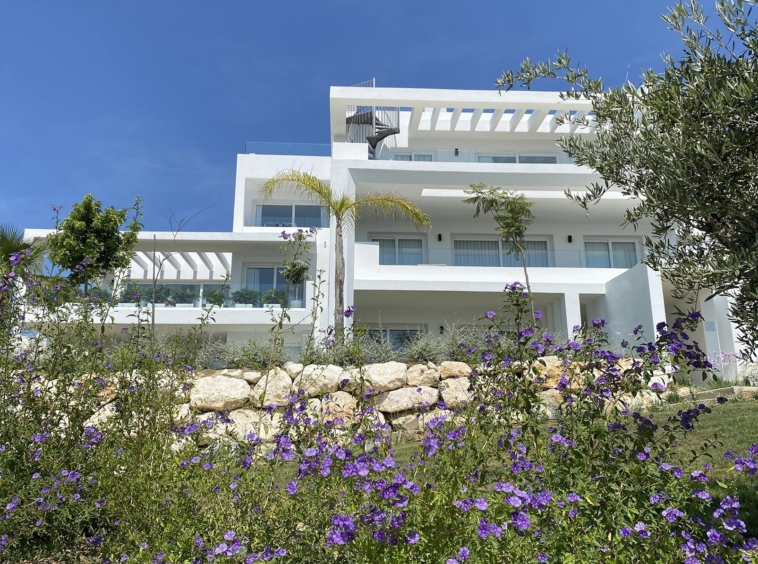 Terraces and tropical planting at the Casares development
