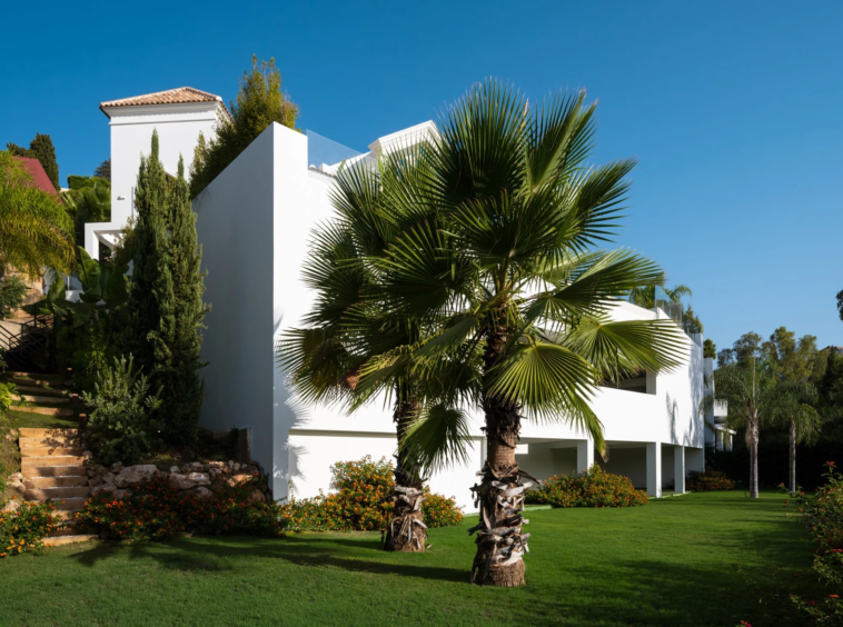 Landscaped garden beside the villa
