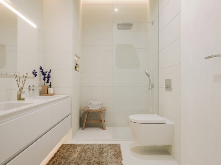 Illustrative bathroom with shower