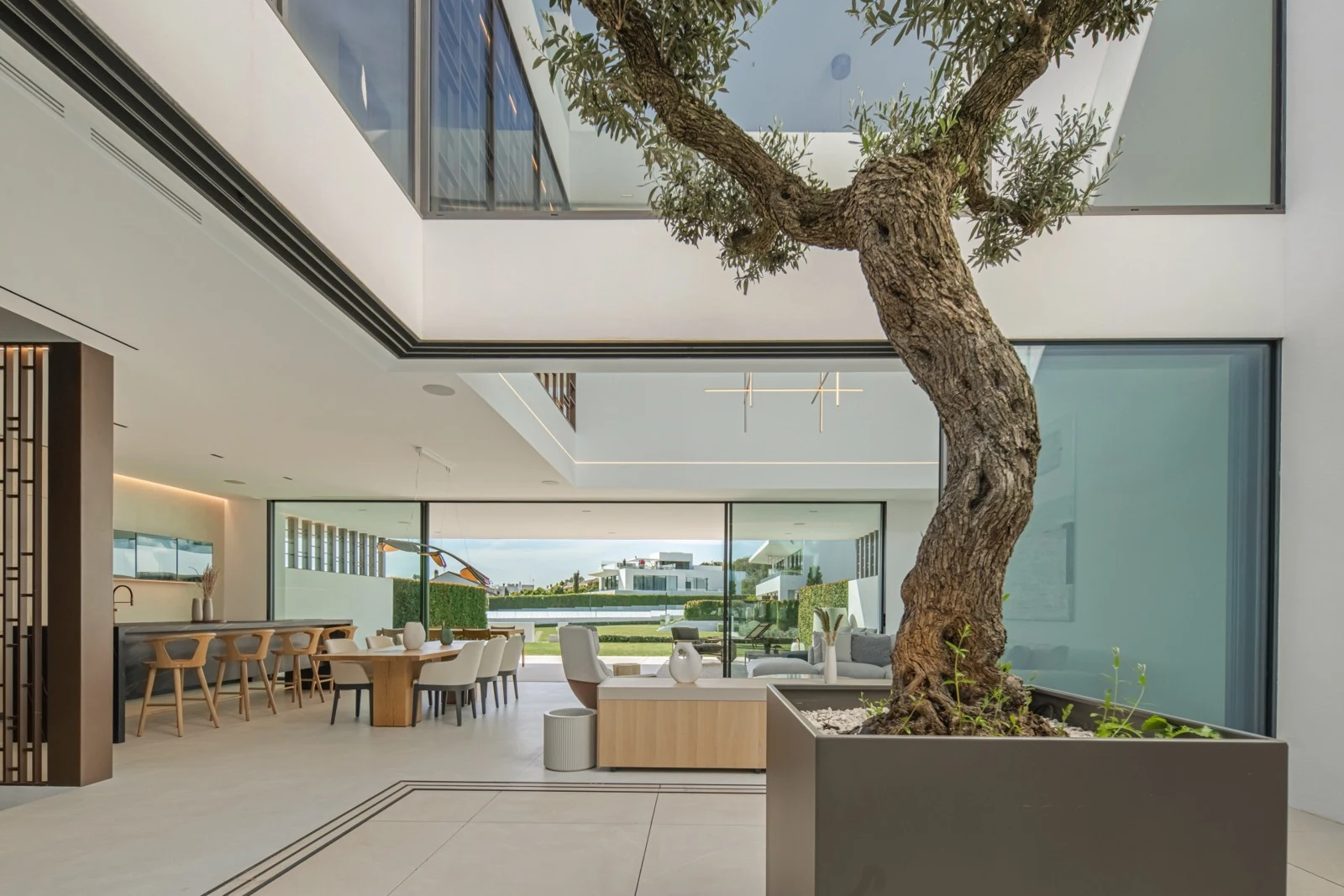 Internal courtyard with a mature olive tree