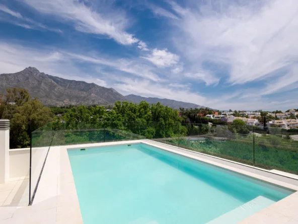Representative show-home rooftop pool on the Golden Mile