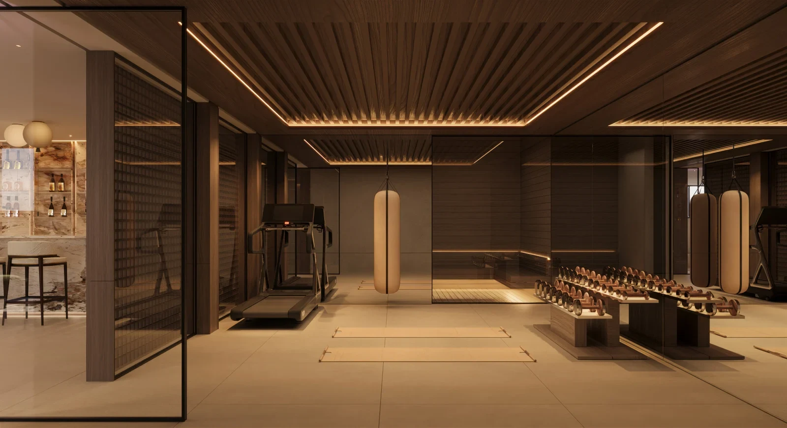 Illustrative fitness room in the villa project