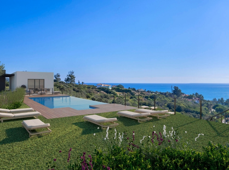 Illustration of the communal infinity pool and coastal views