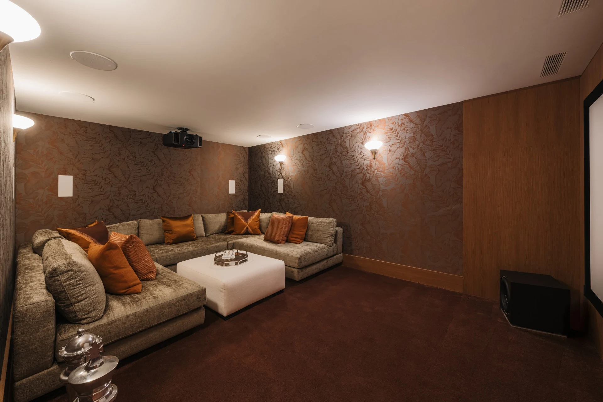 Private cinema room with tiered seating