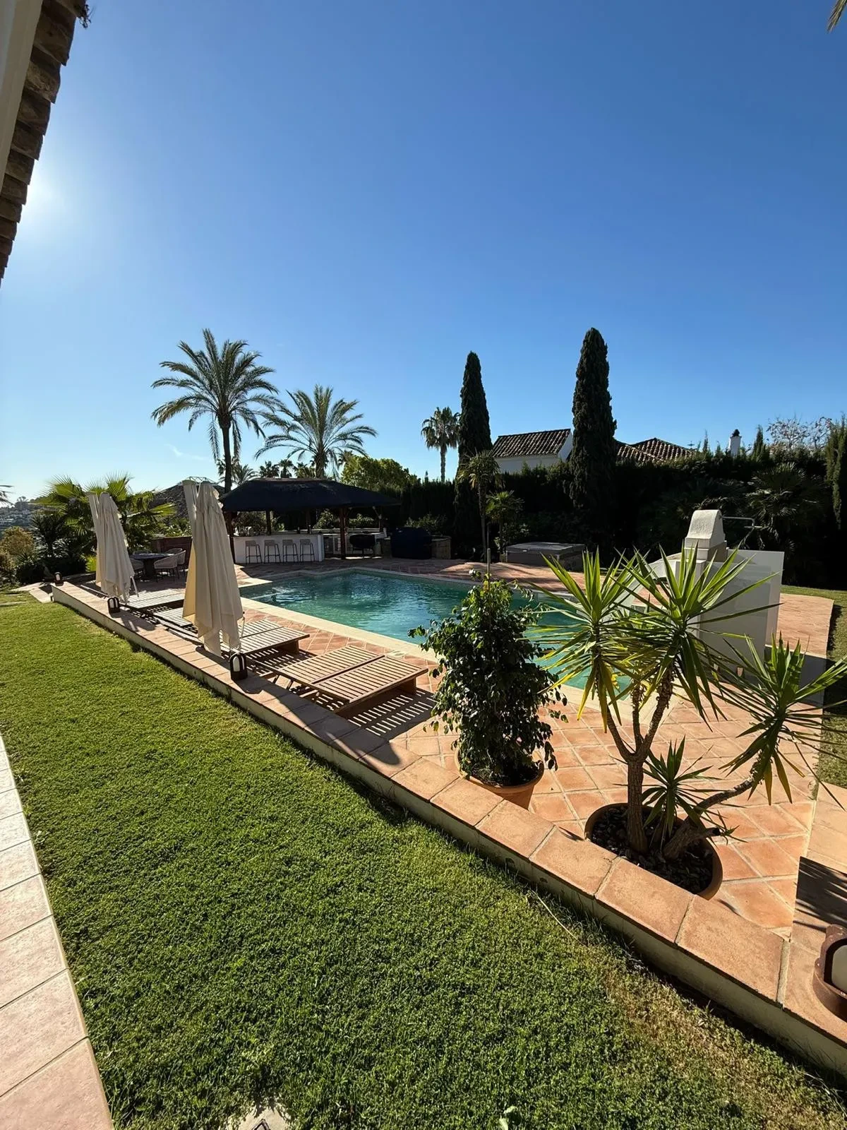 Private pool and garden with palm trees