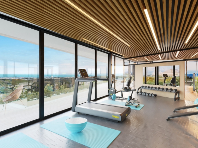 Illustrative shared fitness room