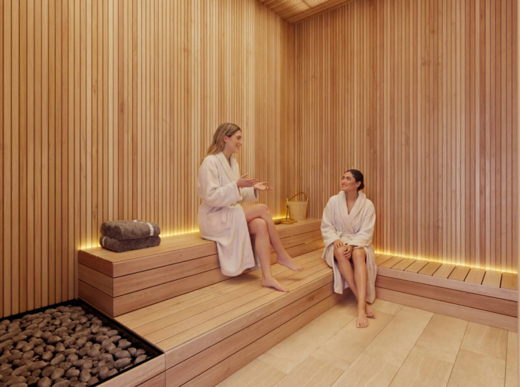 Shared sauna — architectural illustration