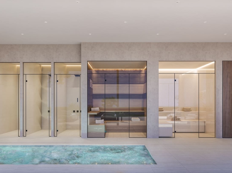 Visualisation of the shared spa