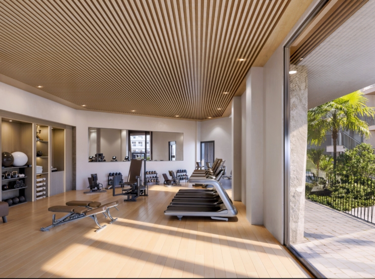 Visualisation of the shared gym