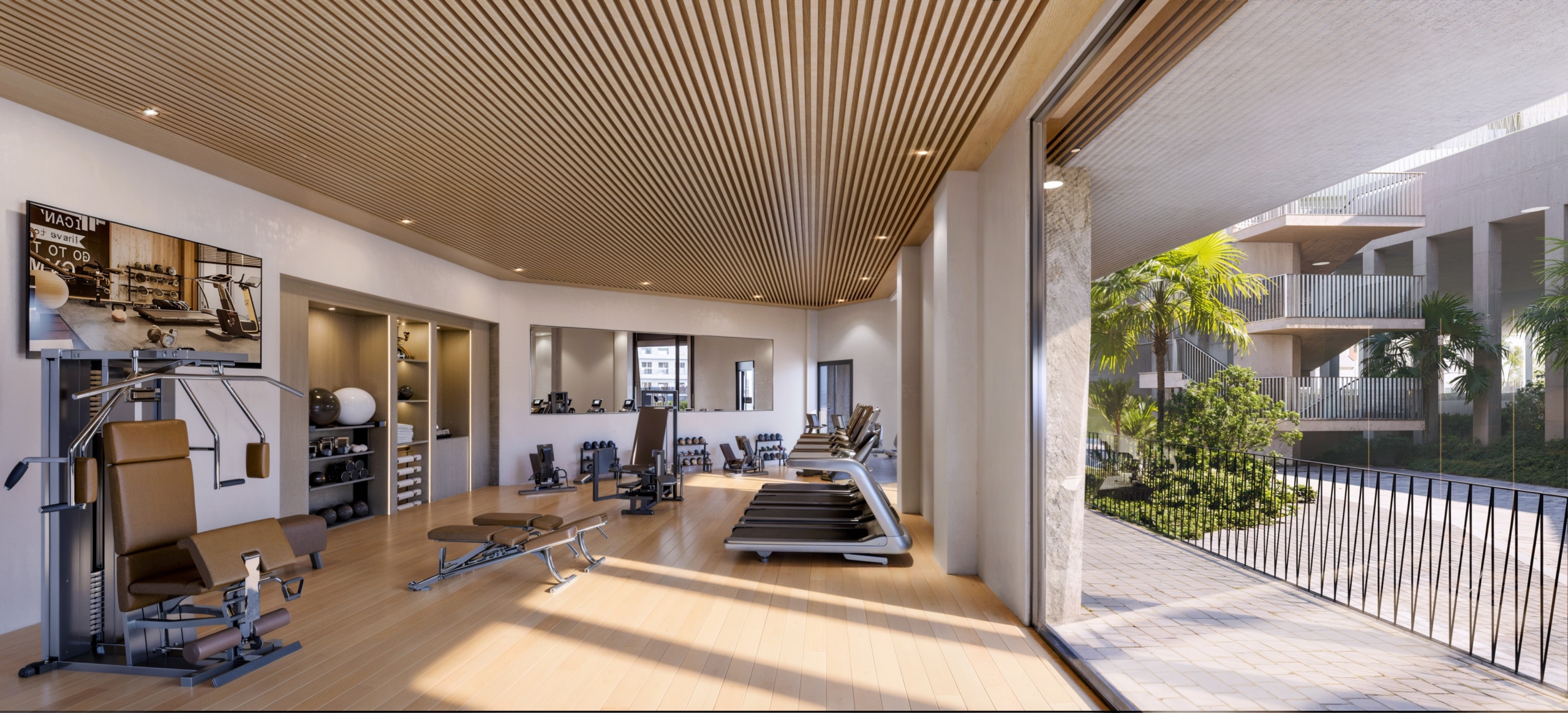 Visualisation of the shared gym
