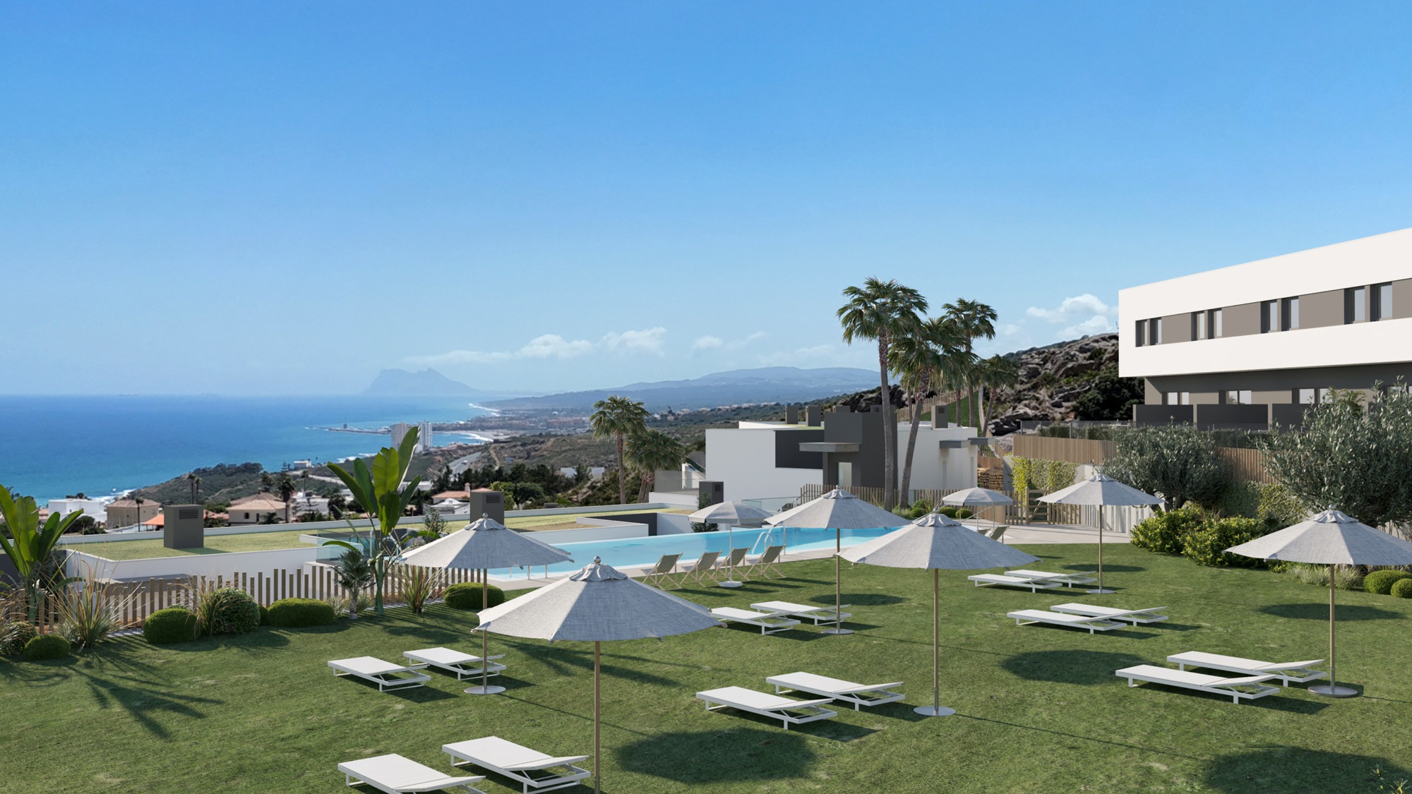 Illustration of the communal pool and landscaped grounds