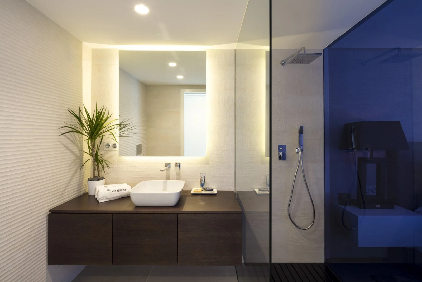 Guest bathroom with vanity and walk-in shower