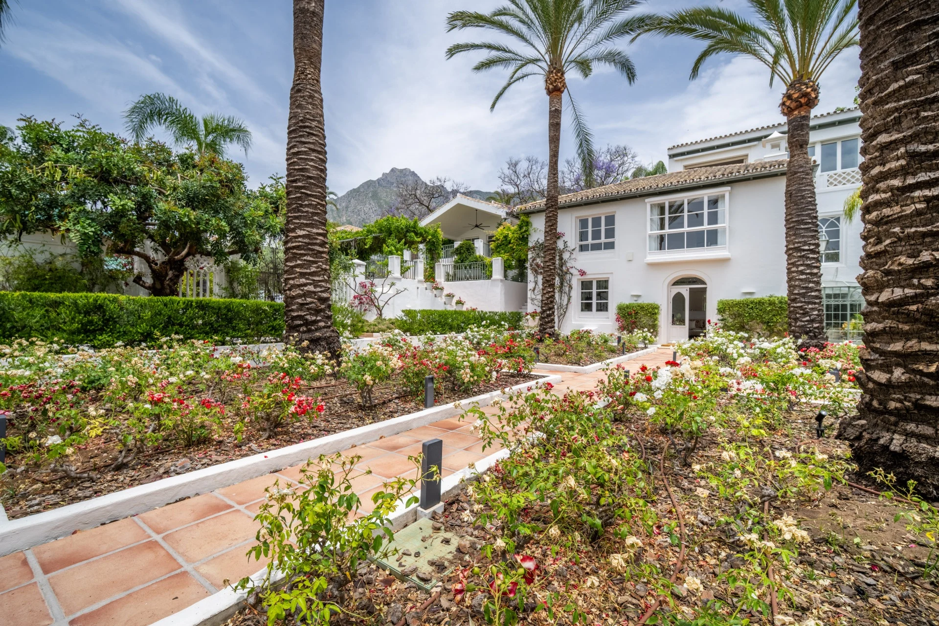 Garden approach to a six-bedroom villa in Sierra Blanca